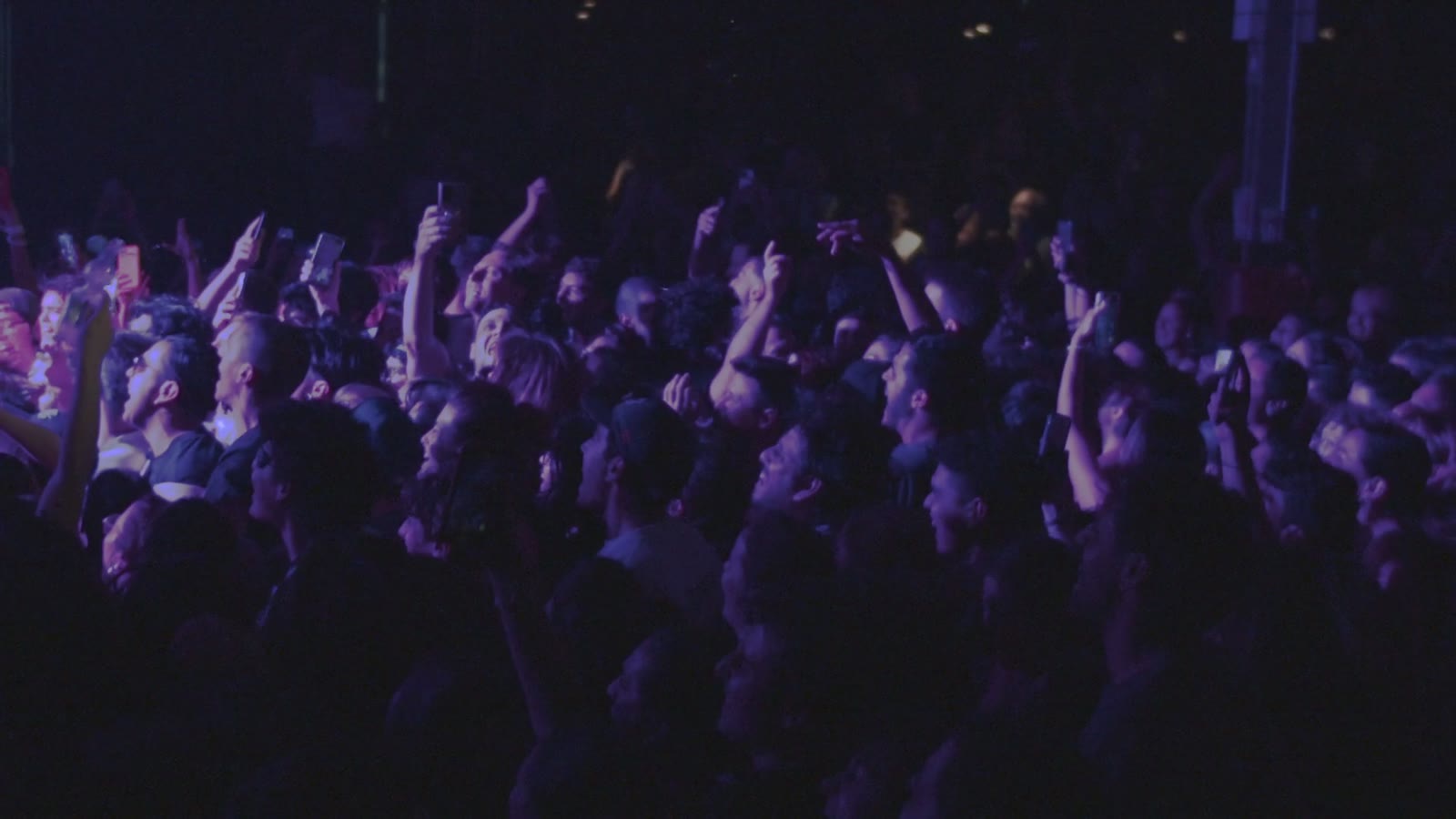 A packed concert crowd under purple light, phones and hands raised toward the stage